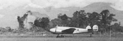 05-aenewguineaA.jpg